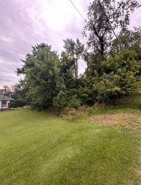 0 Peairs Road Elizabeth Twp/Boro PA 15037