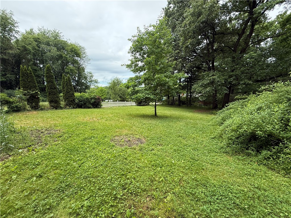 701 Chicora Rd