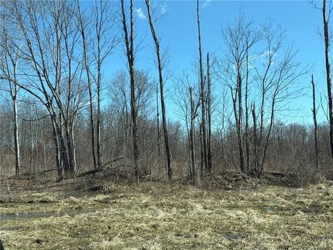 LOT Auction Ln E/W Wheatfield Twp PA 15954