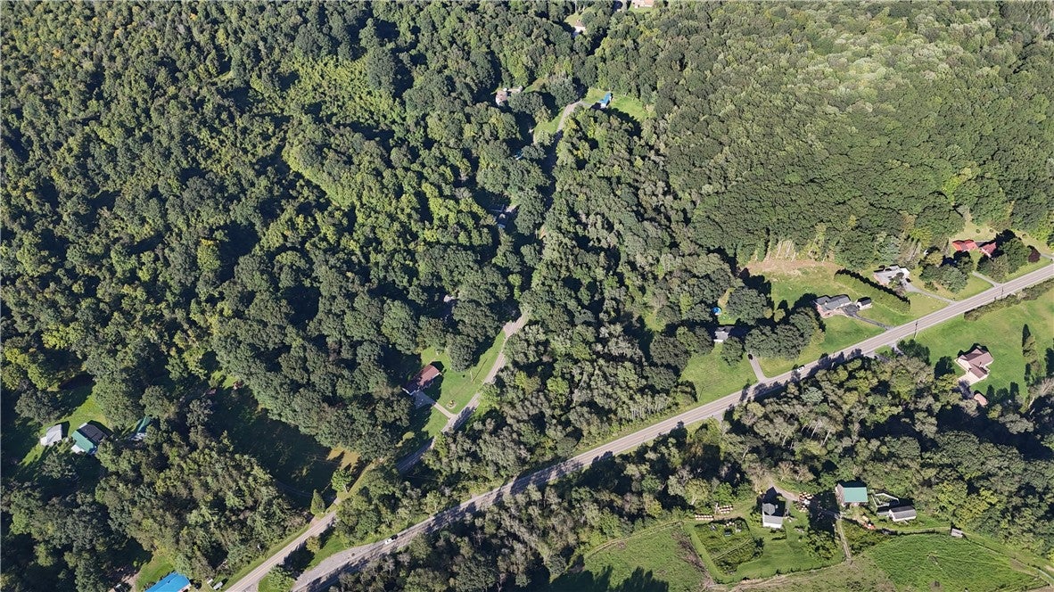 296 Thunderbird Road