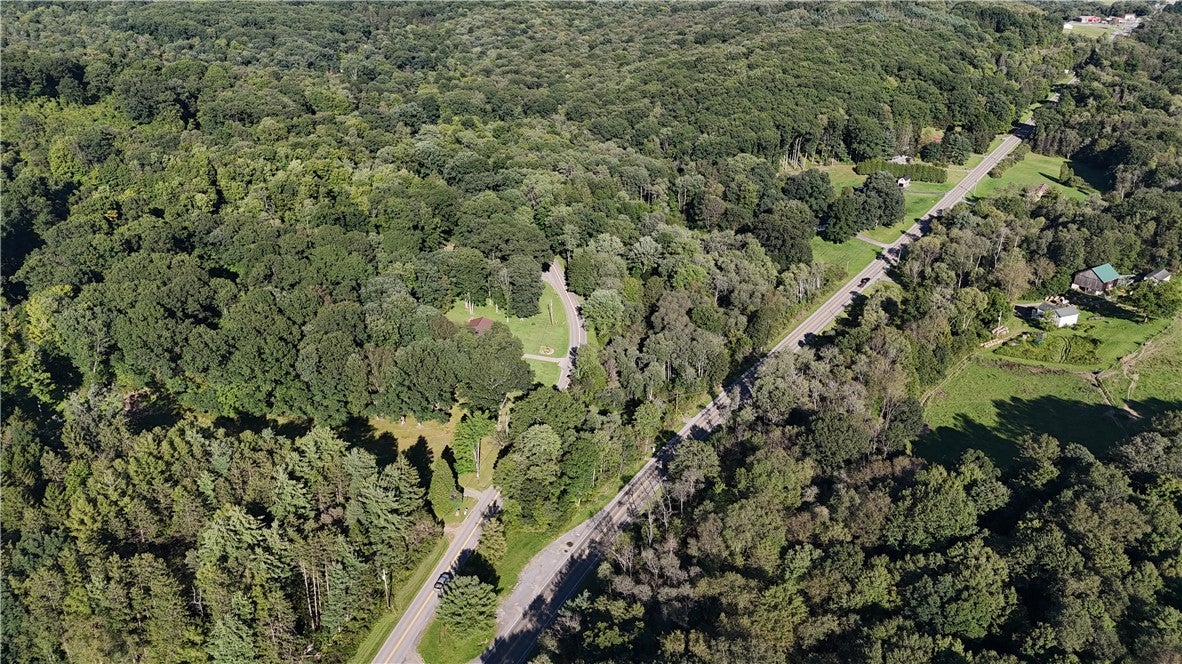 296 Thunderbird Road