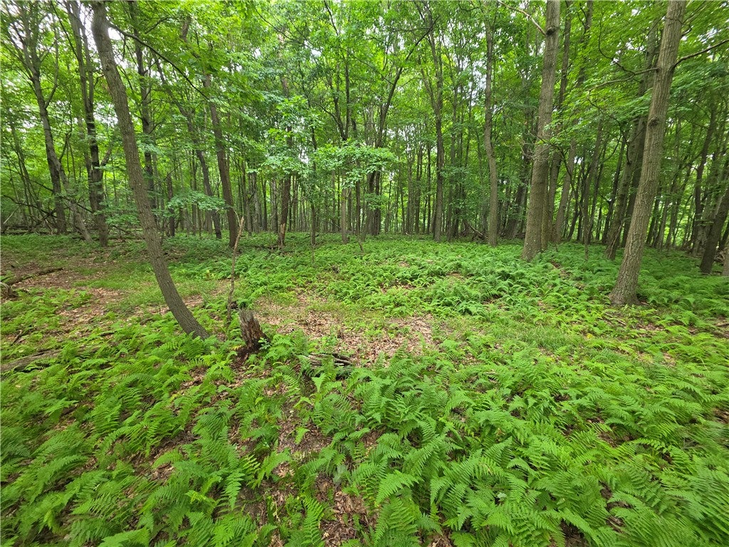 0 Mudlick Hollow Rd