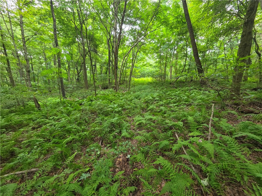 0 Mudlick Hollow Rd