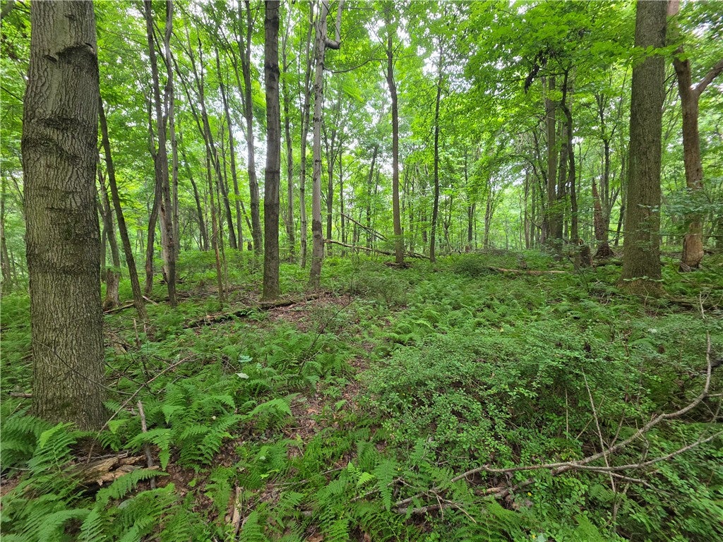0 Mudlick Hollow Rd