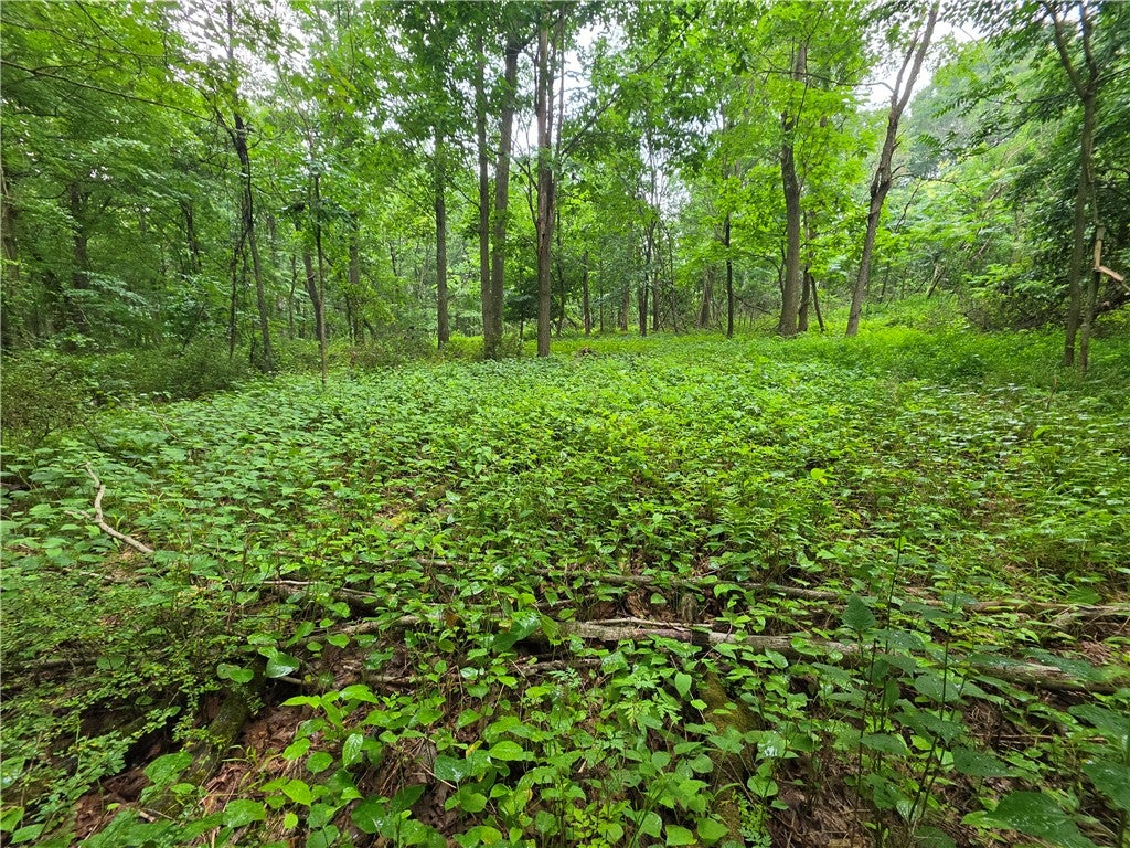 0 Mudlick Hollow Rd
