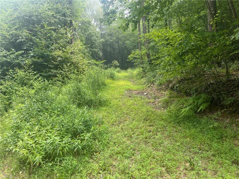 Vacant Land For Sale - LOT 10 Off Camp Run Rd<br/> Donegal, PA 15628