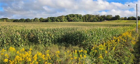 Vacant Land For Sale - W Bakersville Edie Road<br/> Jefferson Twp, PA 15501