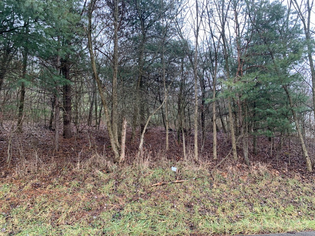 Lot 5 Ringertown Road, Murrysville, Pennsylvania image 1