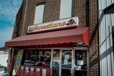 Photo of 113 Grant Avenue, Vandergrift, PA 15690 (MLS # 1740119)