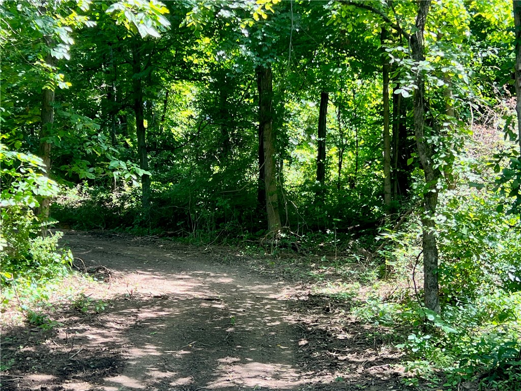 Smith, Pennsylvania 15021, United States, ,Residential,Contingent,69964