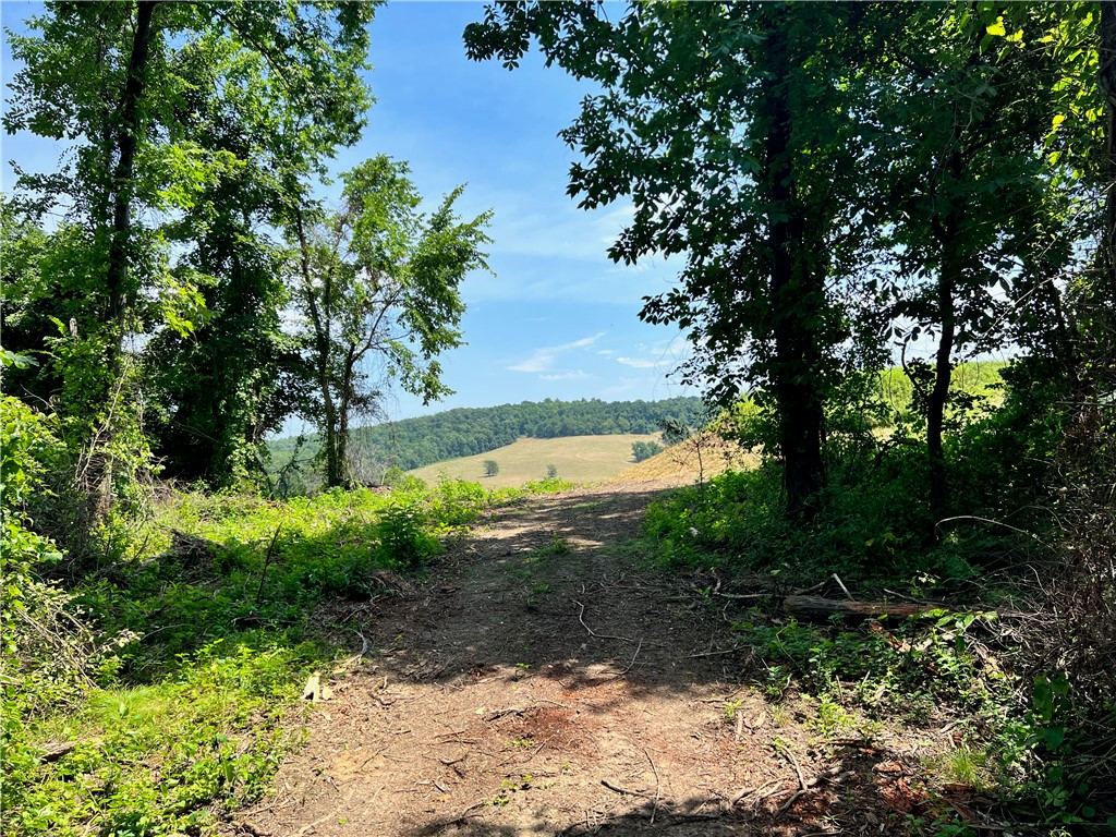 Smith, Pennsylvania 15021, United States, ,Residential,Contingent,69964