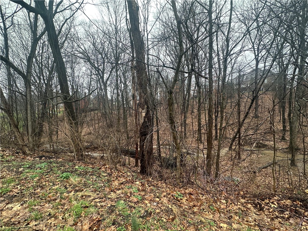 Lot #1 Woodhaven Drive