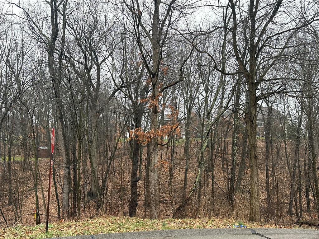 Lot #1 Woodhaven Drive