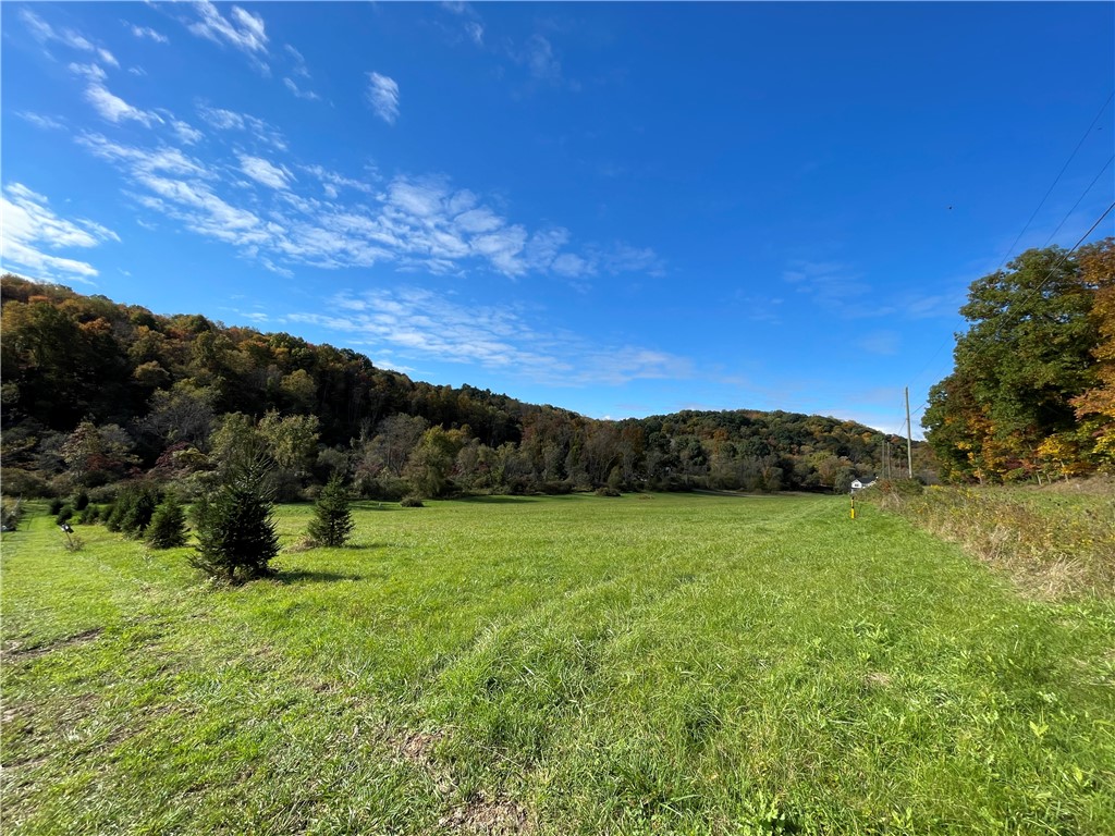 Lot 1 Shag Bark Grove / Mamont Road, Murrysville, Pennsylvania image 5