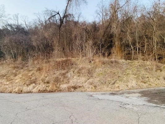 80 VIRGINIA AVE, ROCHESTER, PA 15074 - Image e05ba13e2bd57c0f24a2ffbc12e77c75/24874028