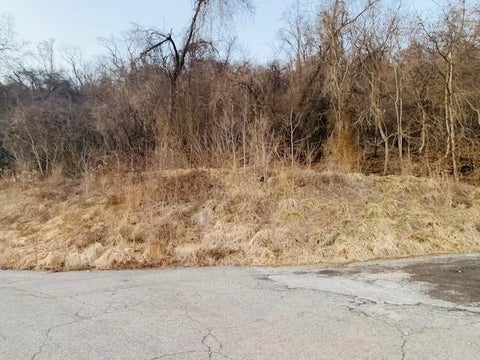 Photo for 000 Virginia Ave