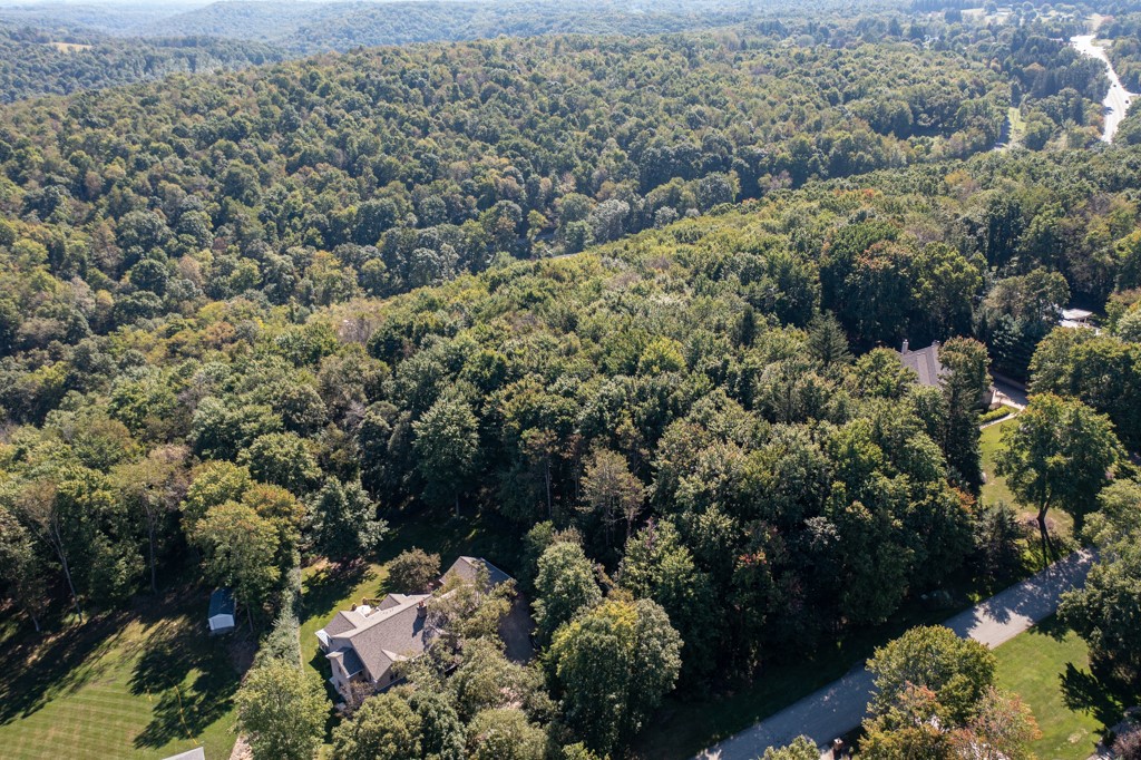 117 Blackthorn Drive