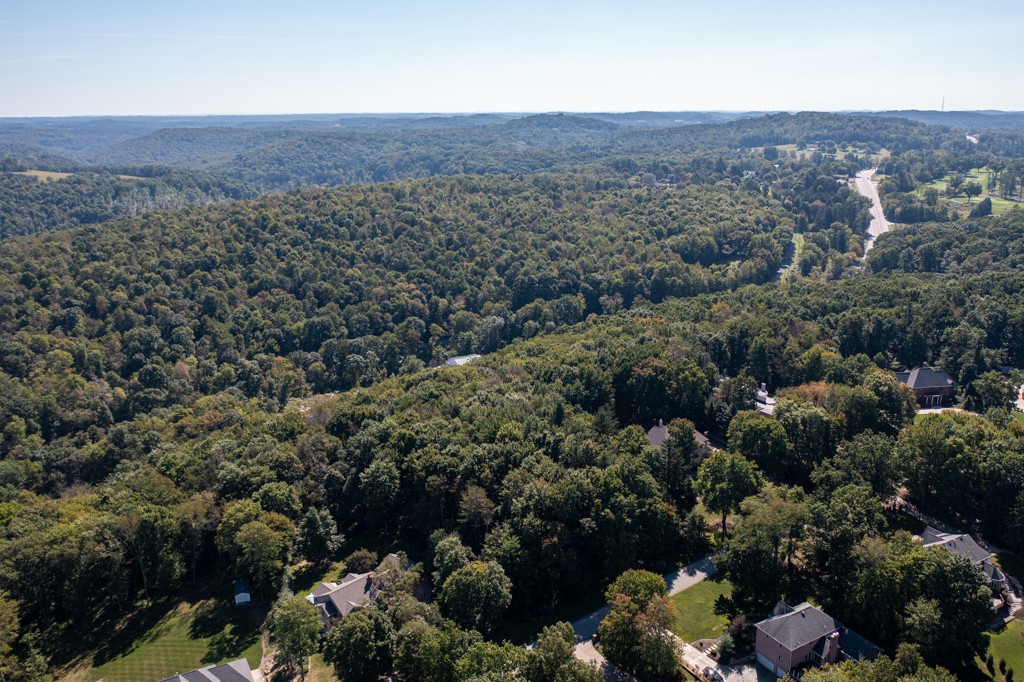 117 Blackthorn Drive