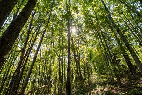 Photo of 117 Blackthorn Drive, Butler, PA 16002 (MLS # 1741032)