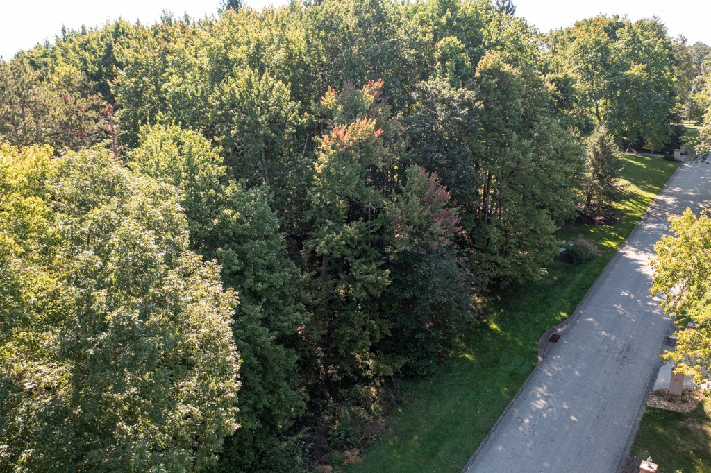 117 Blackthorn Drive