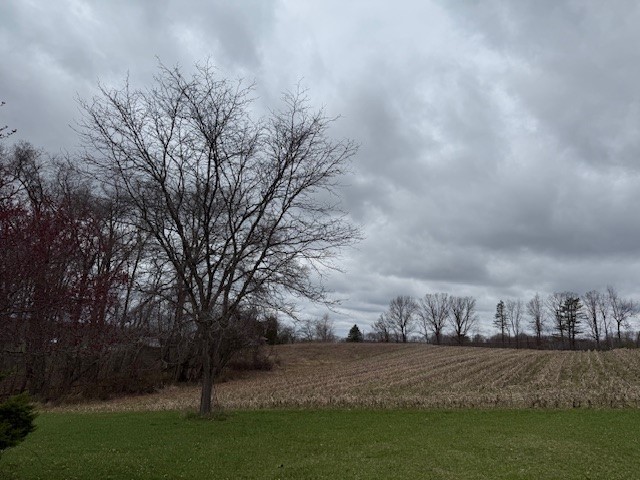 Lot 2 Jones Rd
