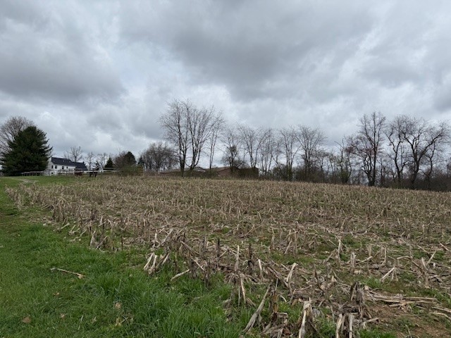 Lot 2 Jones Rd