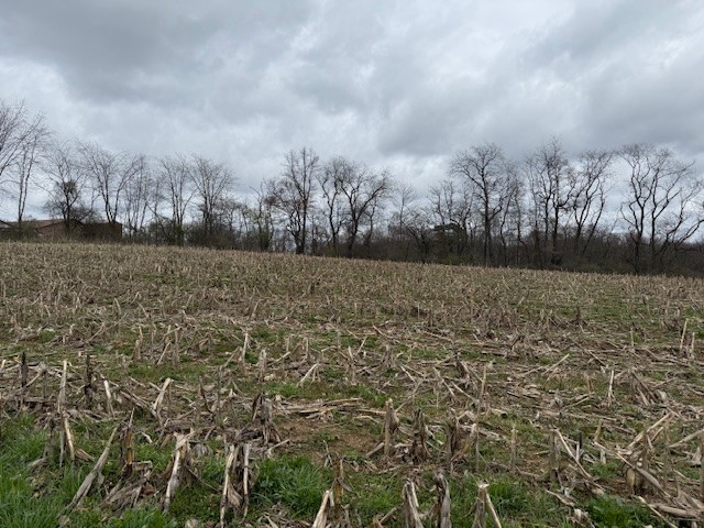 Lot 2 Jones Rd