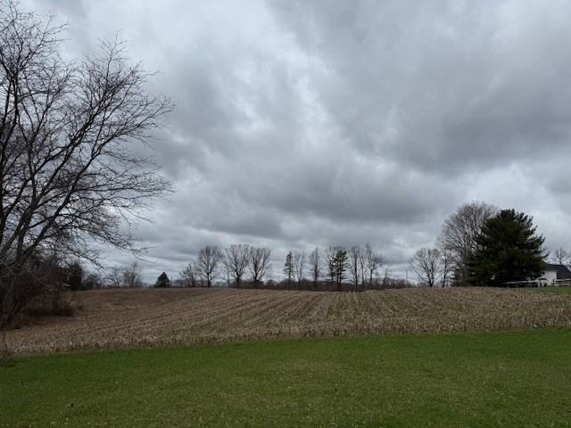 Lot 2 Jones Rd