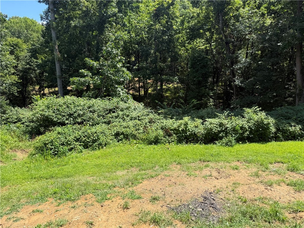 232 Sunny Hill Drive