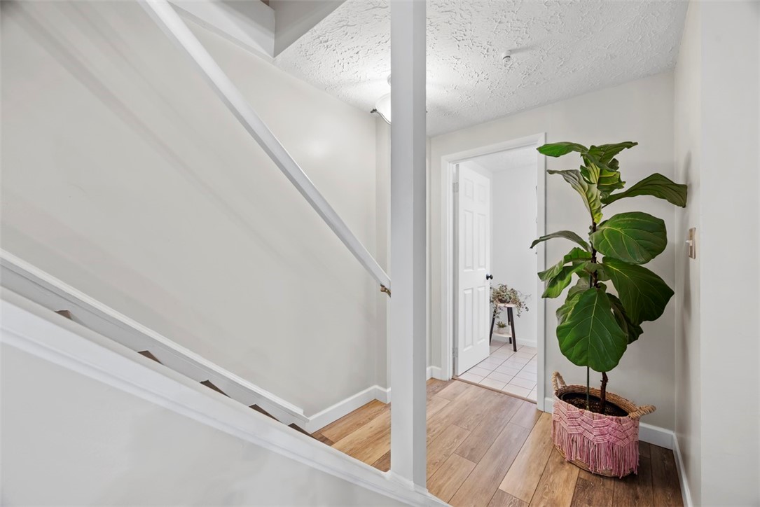 113 Stoney Creek Ct
