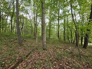 Photo for 000 Lot 23 Dally Road