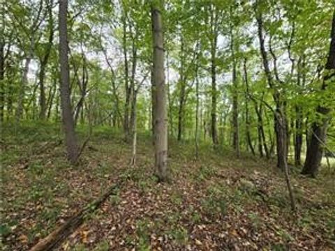 000 Lot 23 Dally Road Long Branch Boro PA 15423