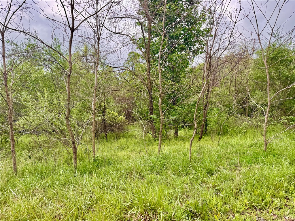 0 Pineview Road