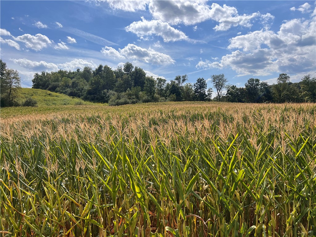 Conemaugh/Young Twps - Ind, Pennsylvania 15725, United States, ,Residential,Pending,200129