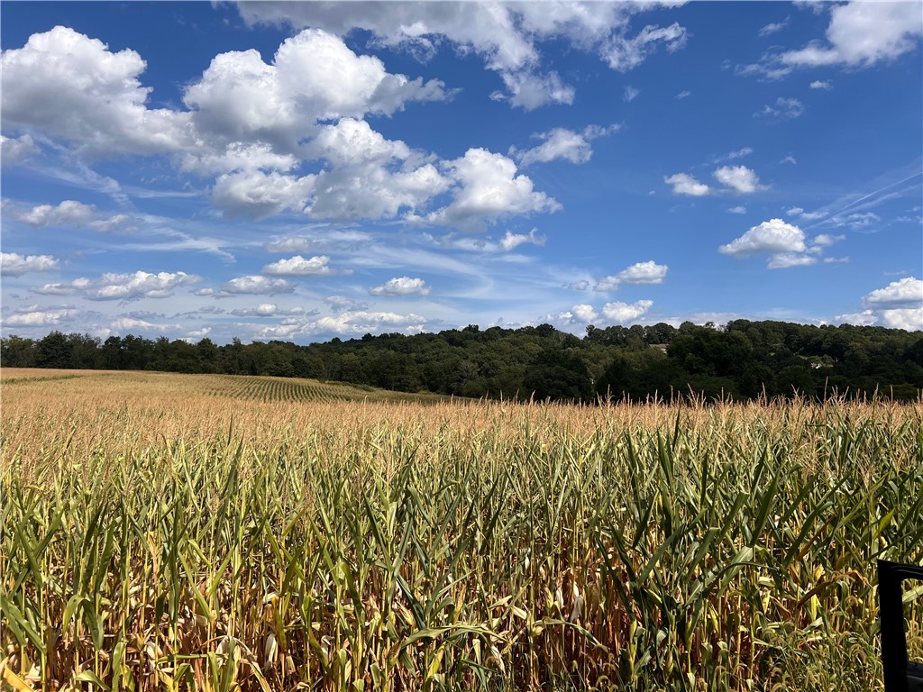 Conemaugh/Young Twps - Ind, Pennsylvania 15725, United States, ,Residential,Pending,200129