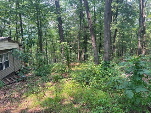 Photo for 6927 Chaneysville Rd