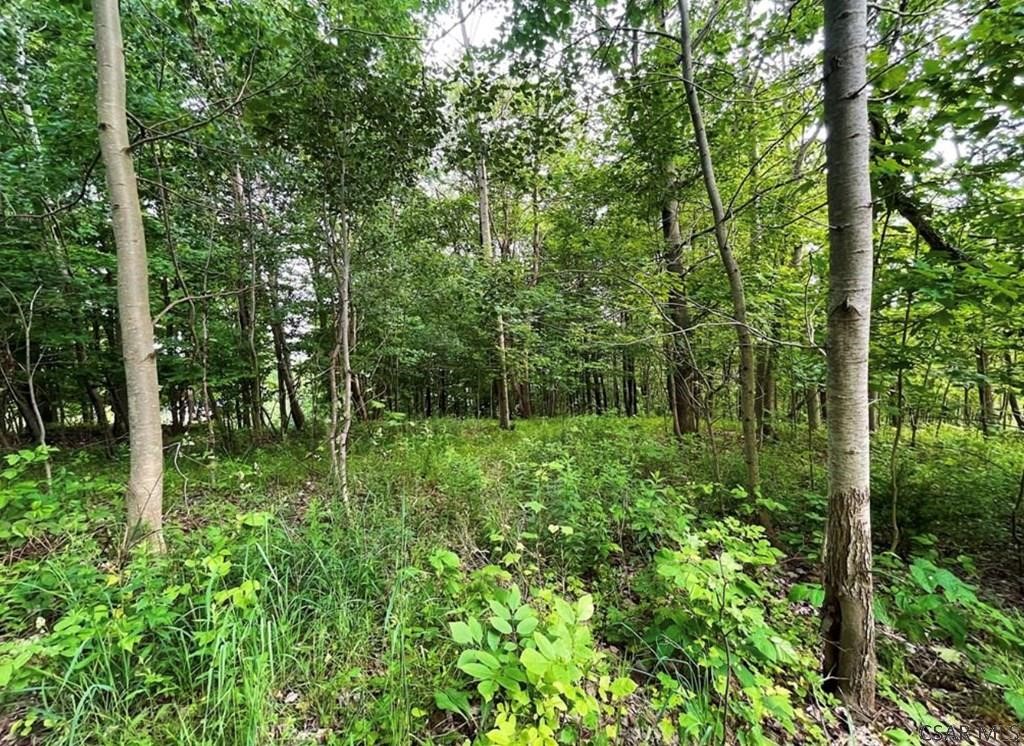 Central City, Pennsylvania 15926, United States, ,Residential,Active,200426