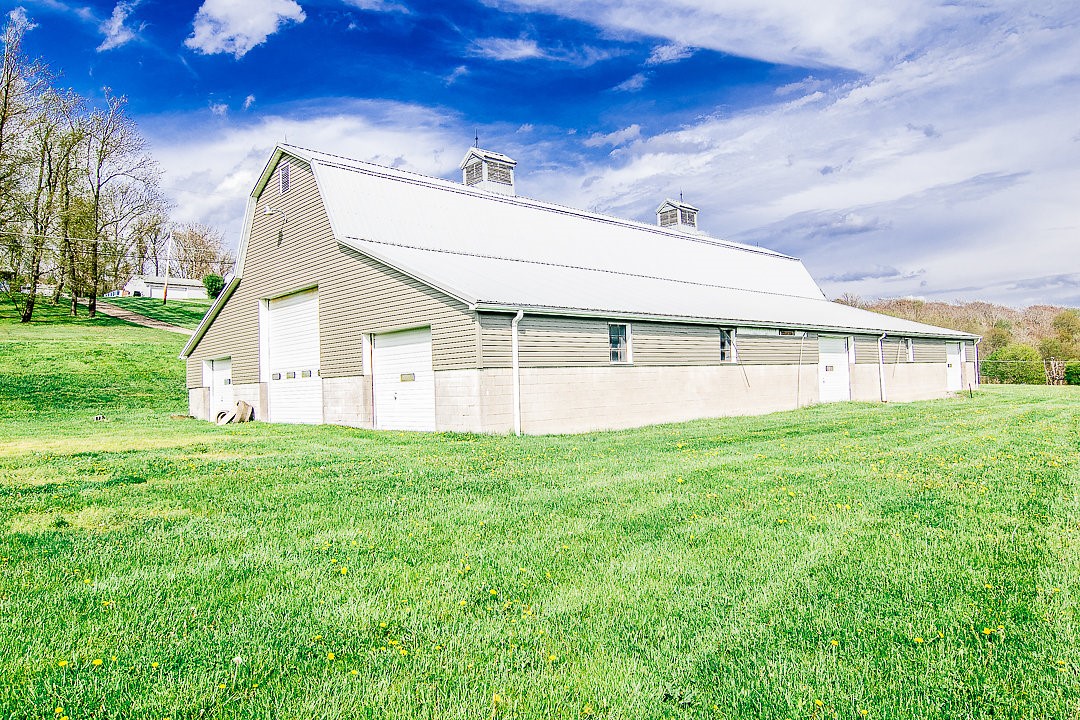 Ciaffoni, Cecil, Pennsylvania image 12