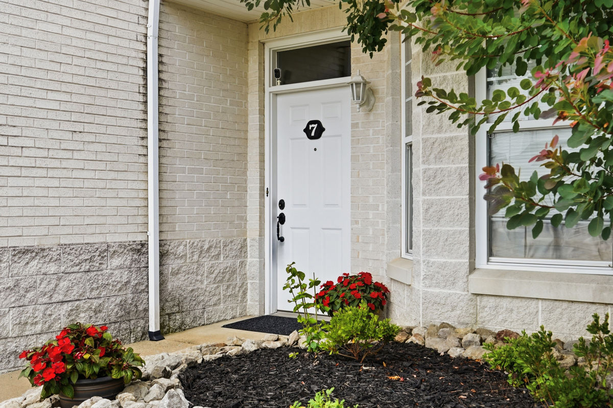 246 Adams Pointe Boulevard 7