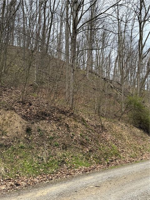 Photo of 0 Coal Bank Hollow Rd, Ford City, PA 16226 (MLS # 1748446)