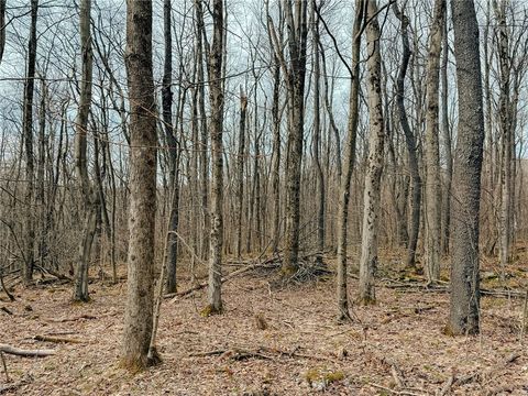 Vacant Land For Sale - LOT F-1 Fern Mountain Rd<br/> Donegal, PA 15501
