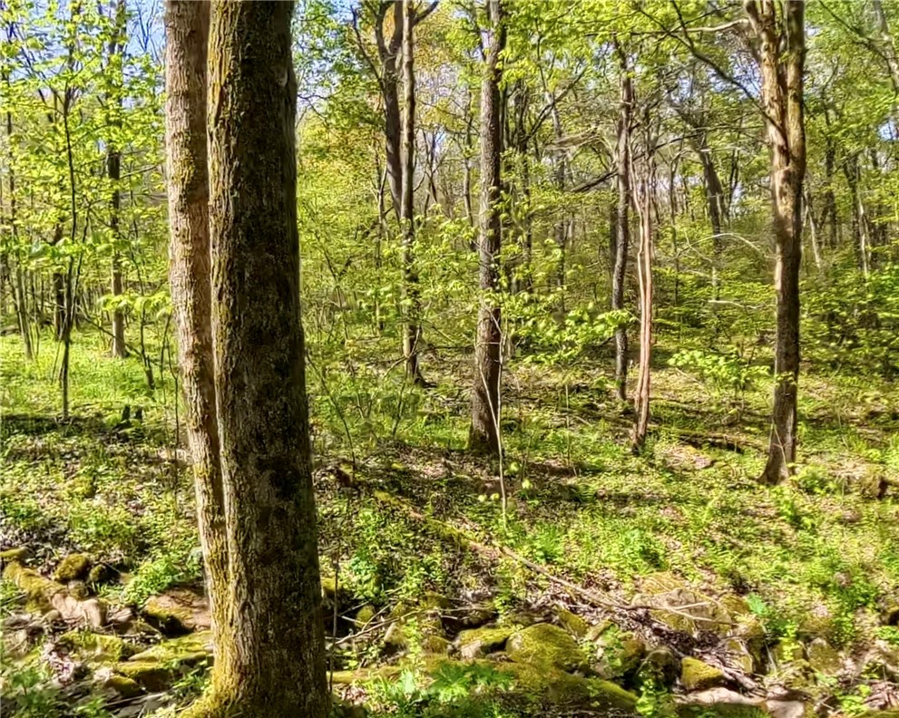 Lot F-1 Fern Mountain Rd