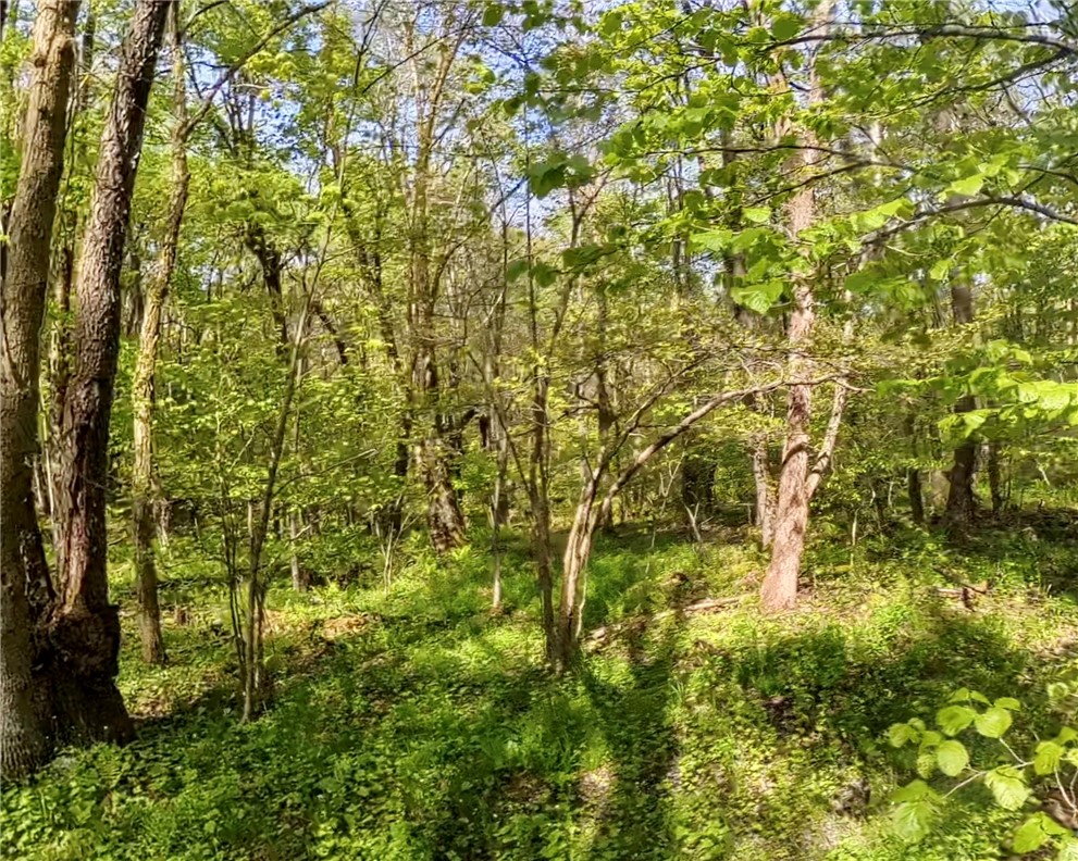 Lot F-1 Fern Mountain Rd