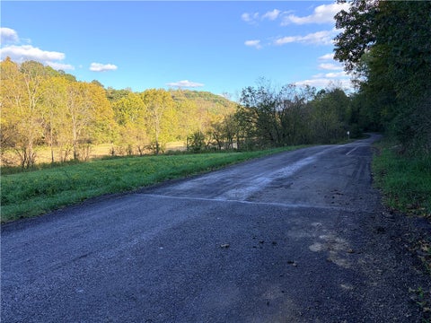 Photo for 0 Wheeling Creek Road