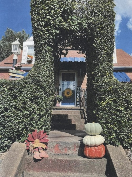 539 Wilson Ave Ave, Rochester, Pennsylvania image 36