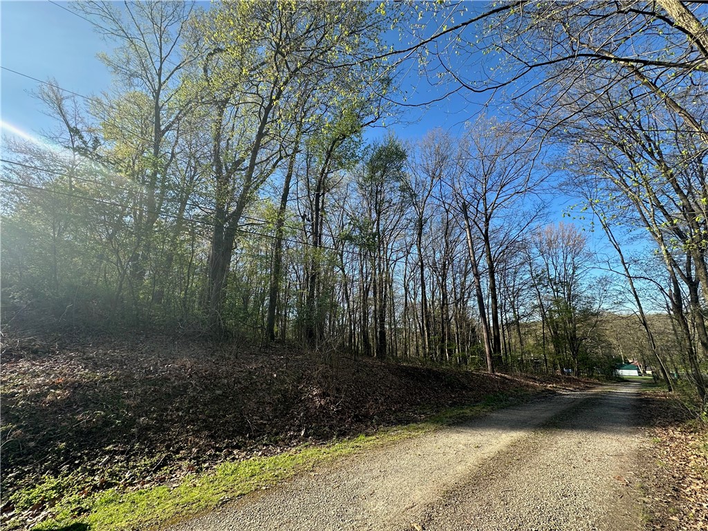 Cardinal Dr, Loyalhanna, Pennsylvania image 6