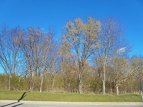 Photo of 311 Mcmurray Rd, Pittsburgh, PA 15241 (MLS # 1749210)