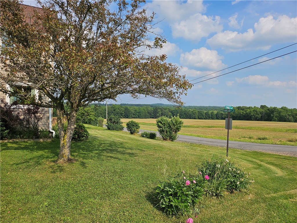 Slippery Rock Twp - But, Pennsylvania 16057, United States, 4 Bedrooms Bedrooms, ,1 BathroomBathrooms,Residential,Contingent,150505