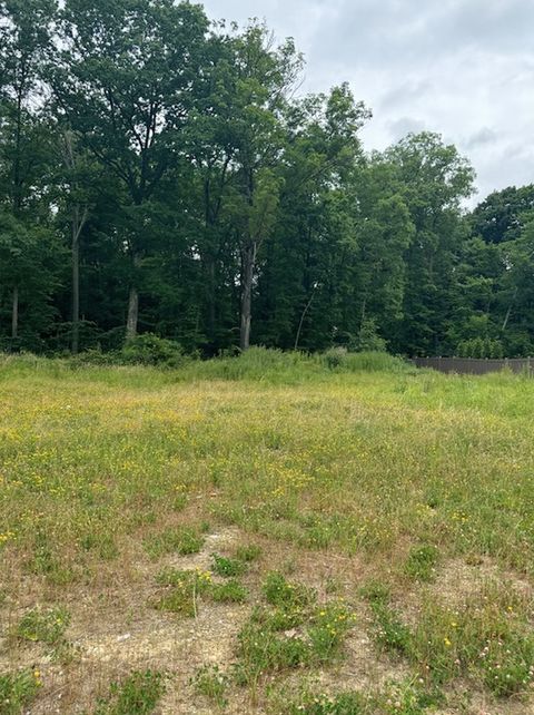 1010 (Lot 106) Goldeneye Dr Marshall PA 15005