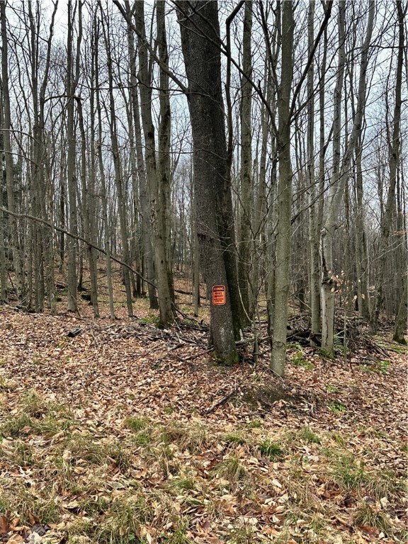 C4 S Peninsula Dr, Indian Lake Boro, Indiana image 19